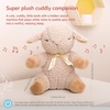 image:imageCloud b Sound Machine with White Noise Soothing Sounds  Cuddly Stuffed Animal  Adjustable Settings and AutoShutoff  Nighty Night Owl Smart SensorSleep Sheep Offwhite