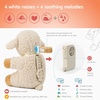 image:imageCloud b Sound Machine with White Noise Soothing Sounds  Cuddly Stuffed Animal  Adjustable Settings and AutoShutoff  Nighty Night Owl Smart SensorSleep Sheep Offwhite