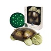 image:imageCloud b Calming Nightlight Star Projector  Gentle Brightness  3 Colors  8 Constellations  AutoShutoff  Twilight Turtle BlueTwilight Turtle  Green